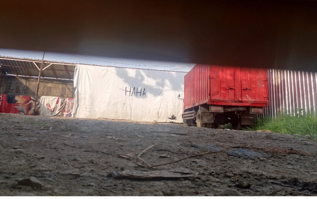 IMG-20251129-WA0050(1)