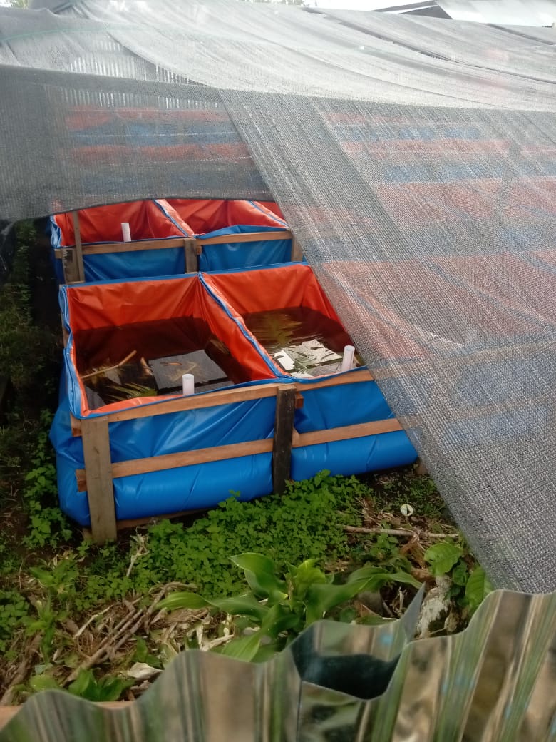 IMG-20251211-WA0105(1)